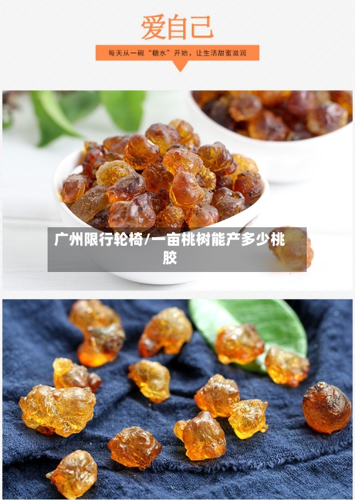 广州限行轮椅/一亩桃树能产多少桃胶