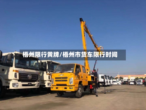 梧州限行黄牌/梧州市货车限行时间-第3张图片