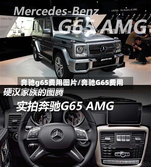 奔驰g65费用图片/奔驰G65费用-第3张图片