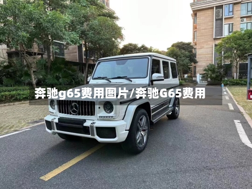 奔驰g65费用图片/奔驰G65费用
