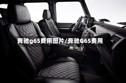 奔驰g65费用图片/奔驰G65费用-第2张图片