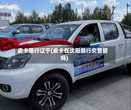 皮卡限行辽宁(皮卡在沈阳禁行交警管吗)-第2张图片