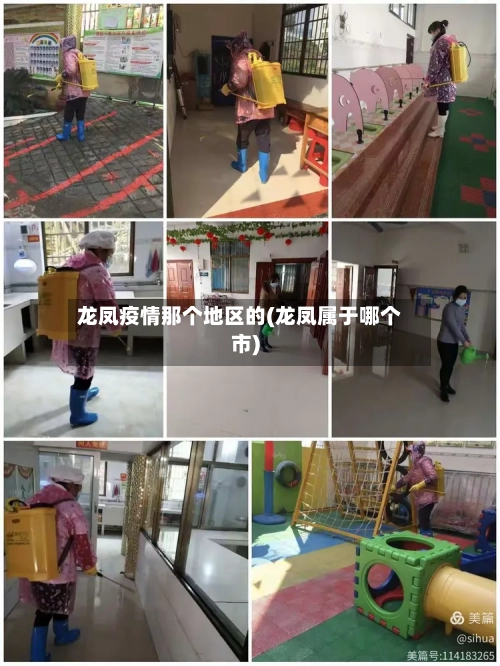 龙凤疫情那个地区的(龙凤属于哪个市)