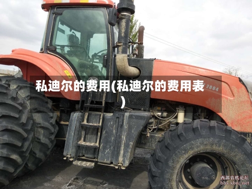 私迪尔的费用(私迪尔的费用表)