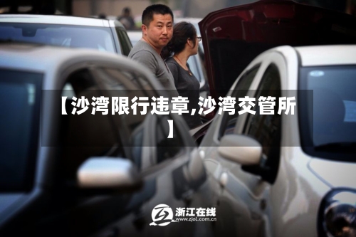 【沙湾限行违章,沙湾交管所】-第3张图片