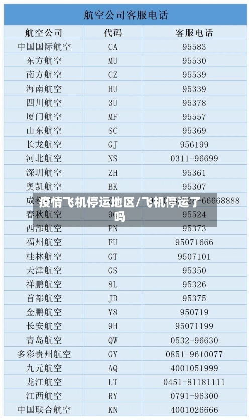 疫情飞机停运地区/飞机停运了吗