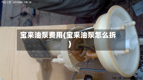 宝来油泵费用(宝来油泵怎么拆)-第2张图片