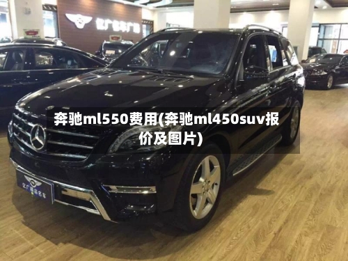 奔驰ml550费用(奔驰ml450suv报价及图片)