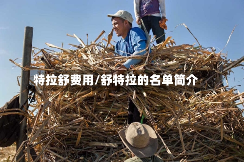 特拉舒费用/舒特拉的名单简介