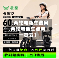 【两轮电瓶车费用,两轮电动车费用一览表】-第3张图片