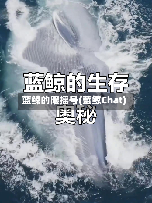 蓝鲸的限摇号(蓝鲸Chat)-第2张图片