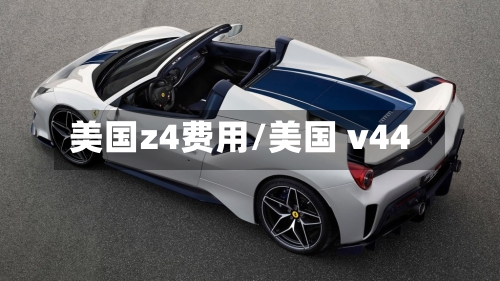美国z4费用/美国 v44
