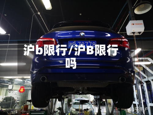沪b限行/沪B限行吗