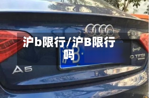 沪b限行/沪B限行吗-第2张图片