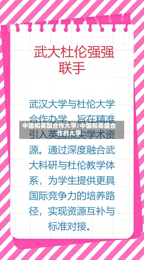 中国和英国合作大学/中国和英国合作的大学-第2张图片
