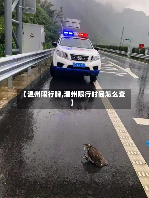 【温州限行牌,温州限行时间怎么查】