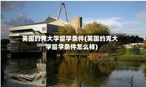 英国约克大学留学条件(英国约克大学留学条件怎么样)-第3张图片