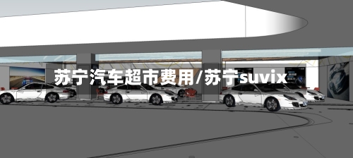 苏宁汽车超市费用/苏宁suvix