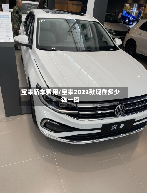 宝来轿车费用/宝来2022款现在多少钱一辆-第2张图片
