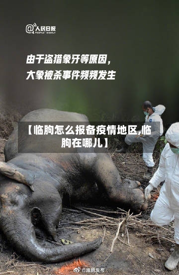 【临朐怎么报备疫情地区,临朐在哪儿】
