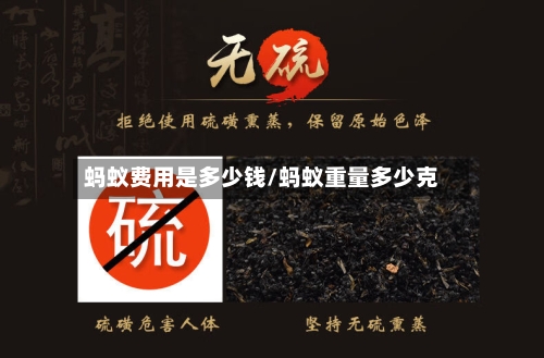 蚂蚁费用是多少钱/蚂蚁重量多少克-第3张图片