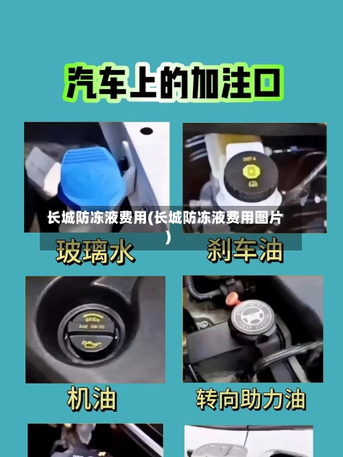 长城防冻液费用(长城防冻液费用图片)-第2张图片