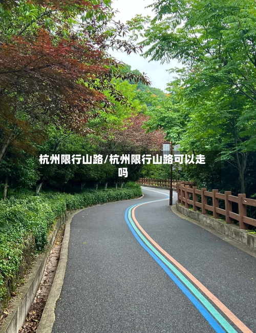 杭州限行山路/杭州限行山路可以走吗-第3张图片