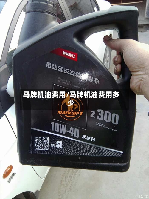 马牌机油费用/马牌机油费用多少-第3张图片