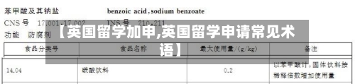 【英国留学加申,英国留学申请常见术语】-第2张图片