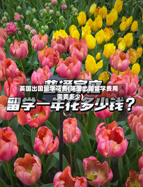 英国出国留学花费(英国出国留学费用需要多少)