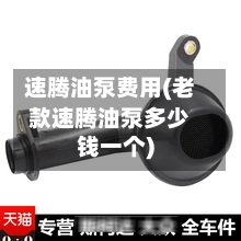 速腾油泵费用(老款速腾油泵多少钱一个)