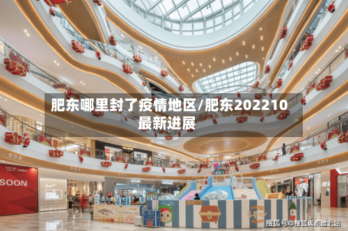 肥东哪里封了疫情地区/肥东202210最新进展-第2张图片