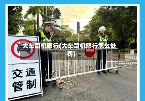 大车司机限行(大车司机限行怎么处罚)-第2张图片
