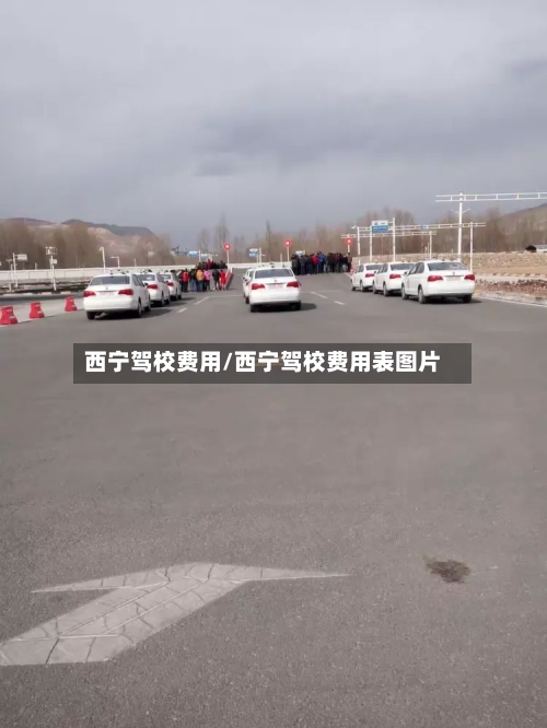 西宁驾校费用/西宁驾校费用表图片-第2张图片