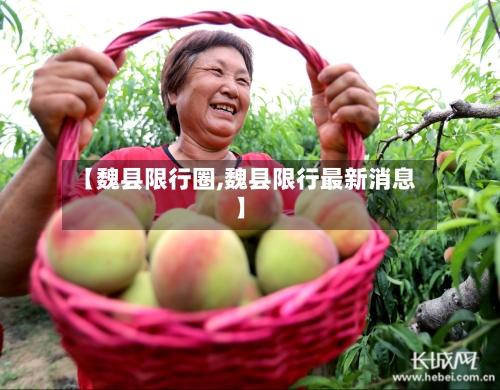 【魏县限行圈,魏县限行最新消息】