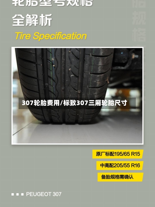 307轮胎费用/标致307三厢轮胎尺寸-第3张图片