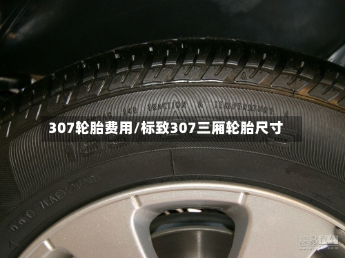 307轮胎费用/标致307三厢轮胎尺寸-第2张图片