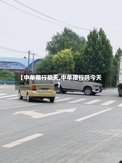 【中牟限行明天,中牟限行吗今天】-第3张图片