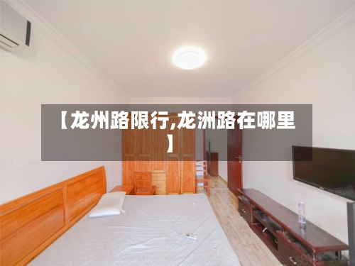 【龙州路限行,龙洲路在哪里】