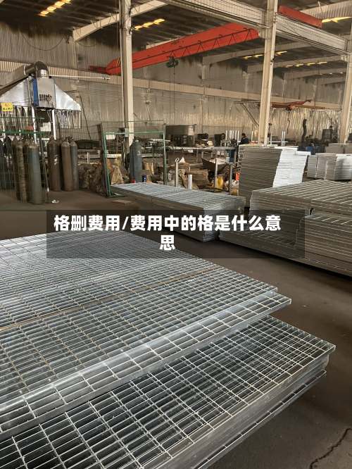 格删费用/费用中的格是什么意思