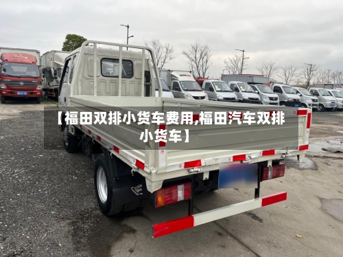 【福田双排小货车费用,福田汽车双排小货车】-第2张图片