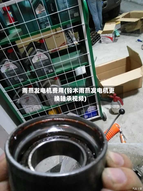 雨燕发电机费用(铃木雨燕发电机更换轴承视频)