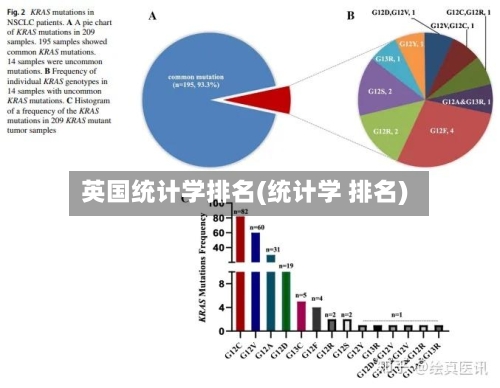 英国统计学排名(统计学 排名)-第3张图片