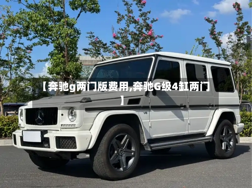 【奔驰g两门版费用,奔驰G级4缸两门】-第2张图片