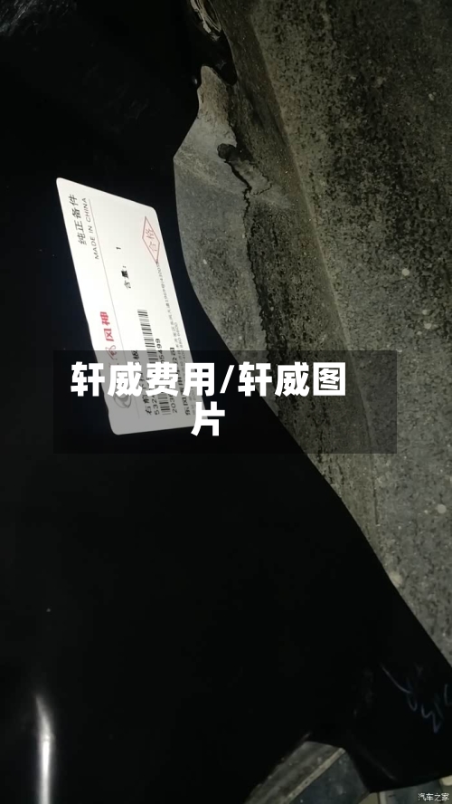 轩威费用/轩威图片