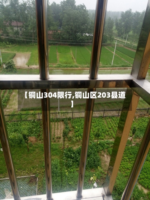 【铜山304限行,铜山区203县道】-第2张图片