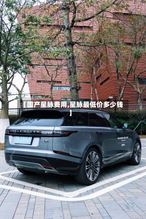 【国产星脉费用,星脉最低价多少钱】