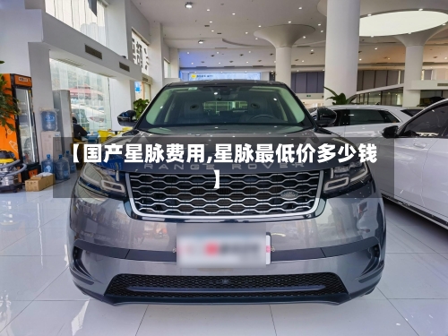 【国产星脉费用,星脉最低价多少钱】-第3张图片