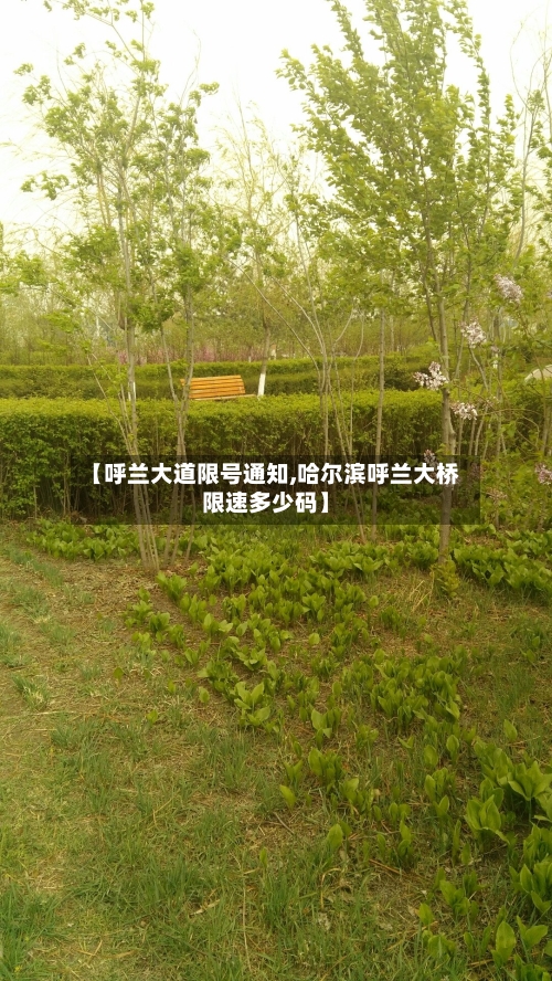 【呼兰大道限号通知,哈尔滨呼兰大桥限速多少码】-第2张图片