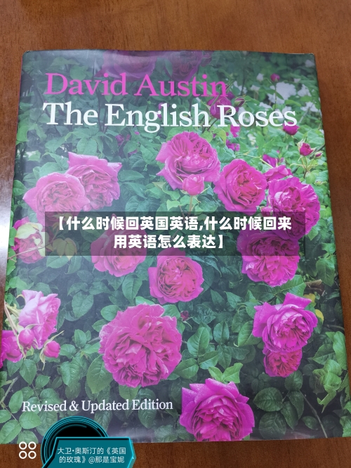 【什么时候回英国英语,什么时候回来用英语怎么表达】-第2张图片